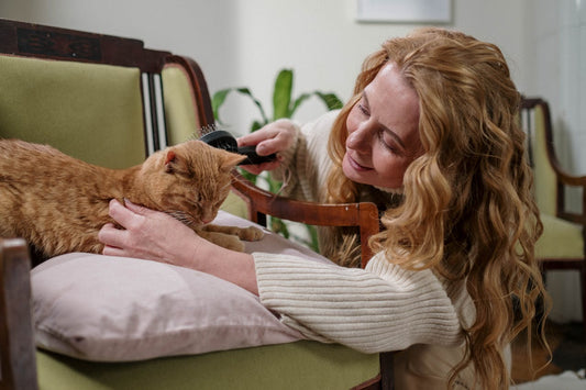 Bonding Activities: Strengthening Your Connection with Your Cat