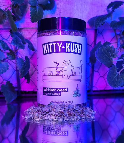 Kitty Kush Jar with Cool Lighting