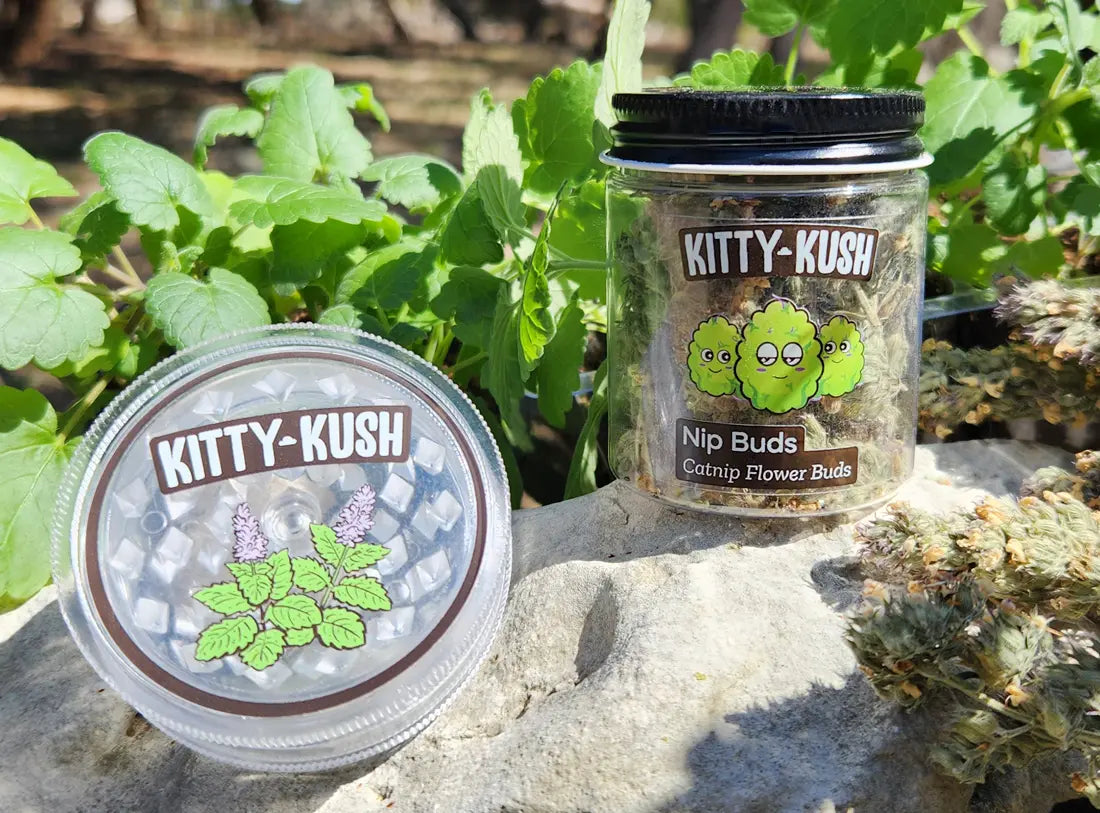 Nip Buds - Lifestyle