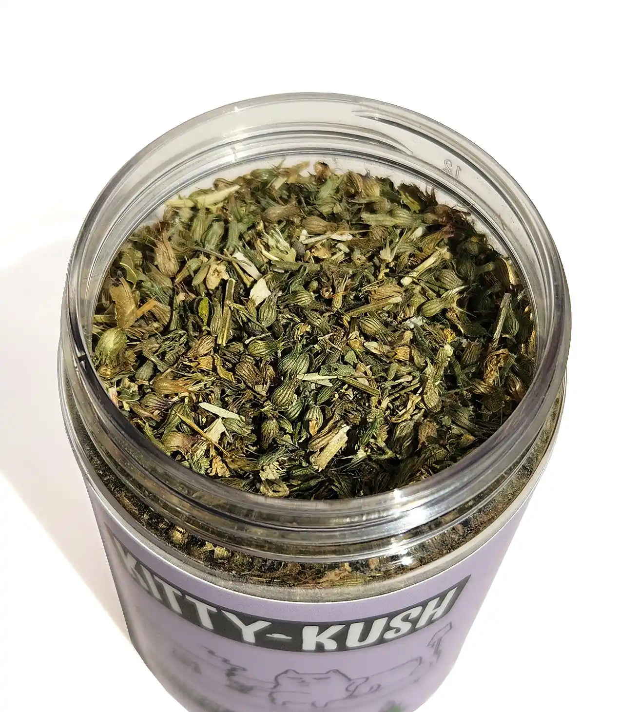 Kitty Kush Catnip closeup