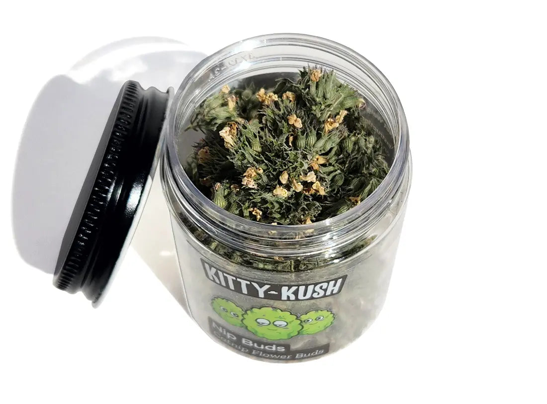Nip Buds: Catnip Flower Buds