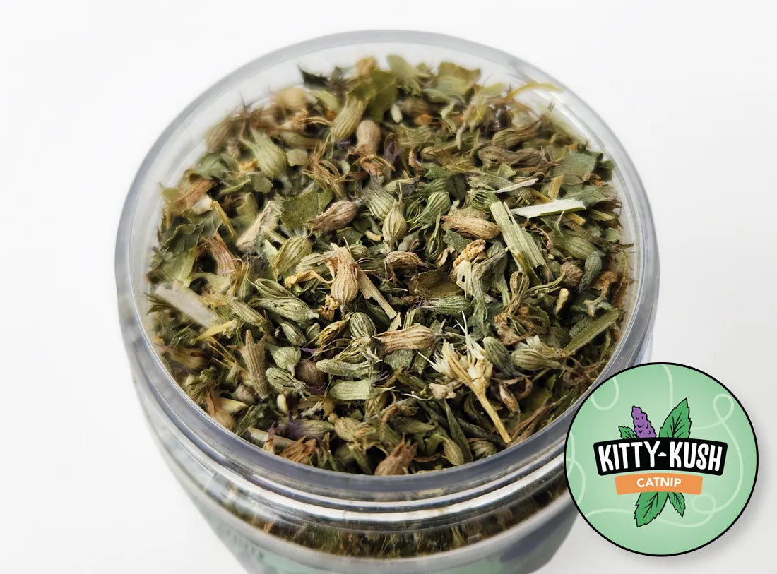 Whisker Weed closeup of open jar