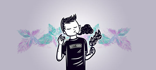 Can You Smoke Catnip? What Happens When Humans Try It