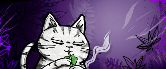Top 10 Pothead Names for Cats