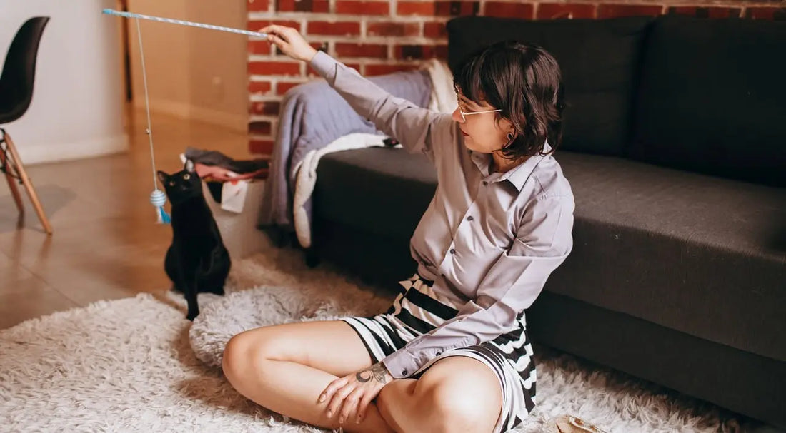 How Often Should You Rotate Cat Toys?