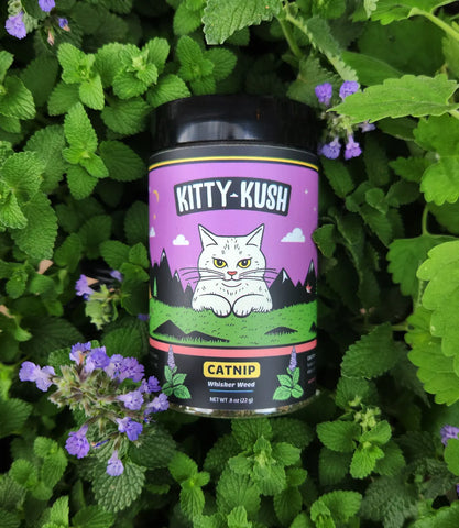 Kitty Kush Catnip