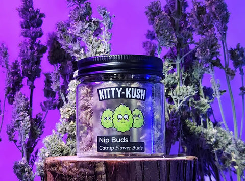 Nip Buds on log with purple lights in background