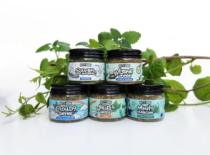 Catnip Flights - jars with plant background