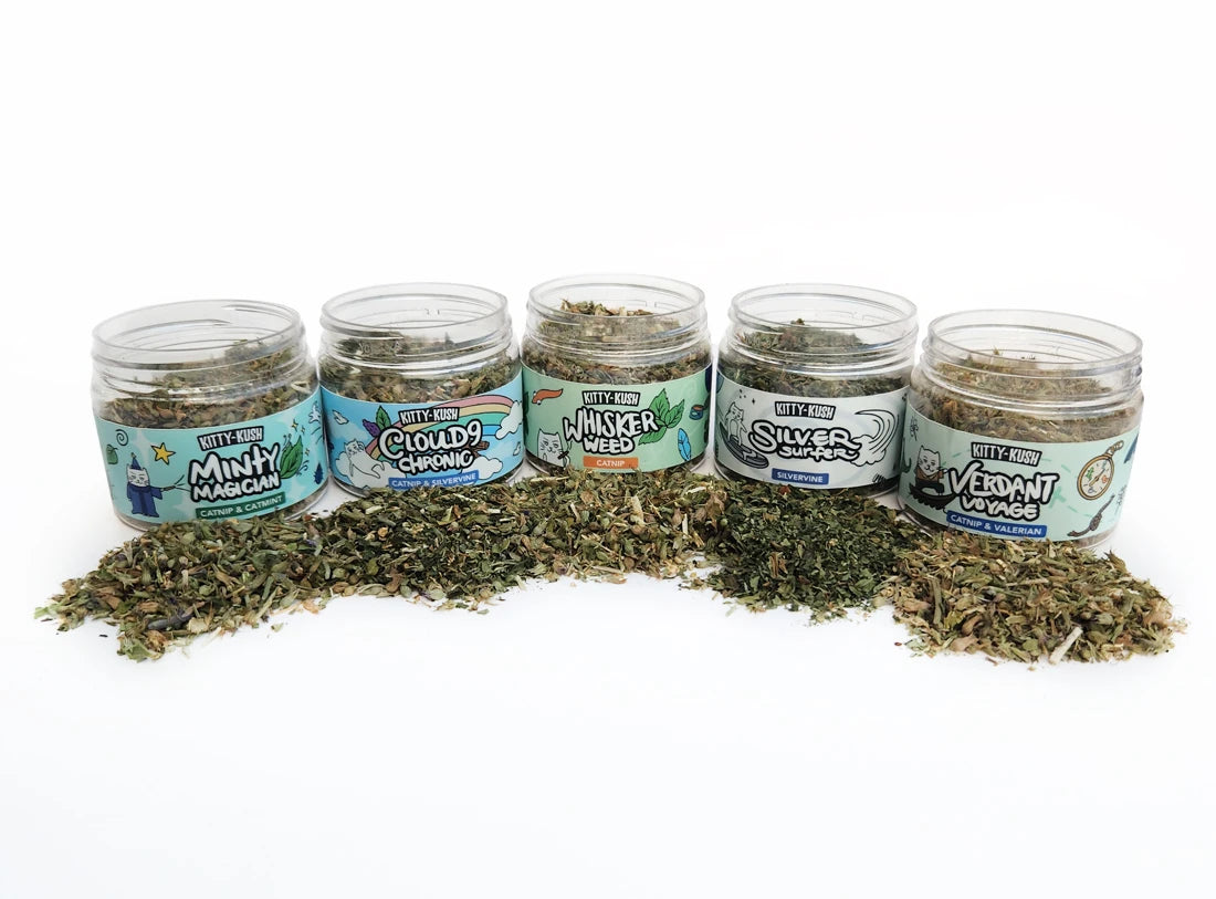 Catnip Flights - jars with herbs in front