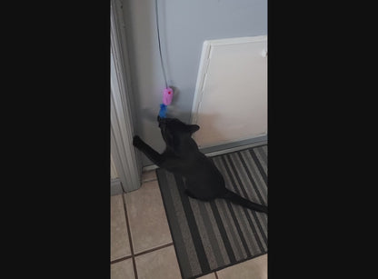 A black cat playing with the Kush Critter