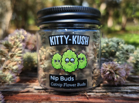 Nip Buds: Catnip Flower Buds